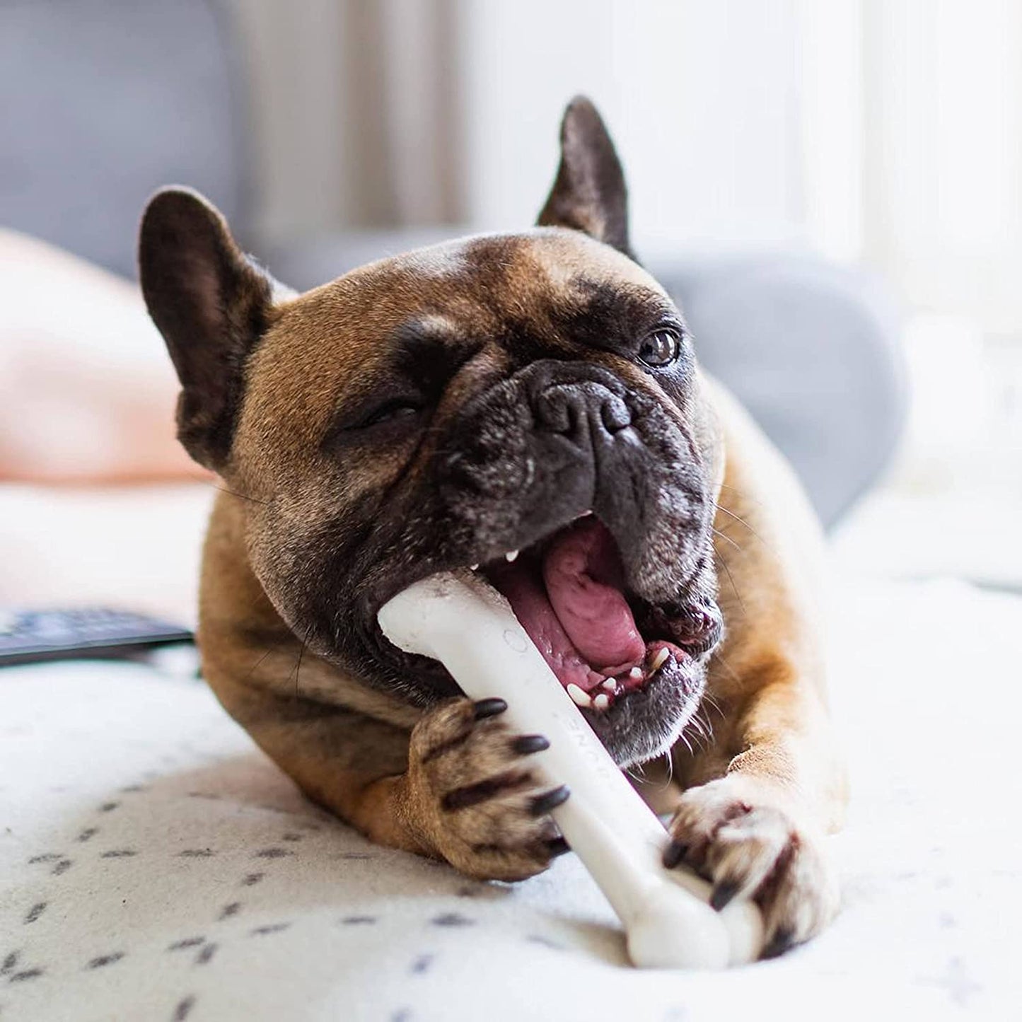 Original Bone Toy, Durable for Chewers, 2 Delicious different flavors your Dogs will love