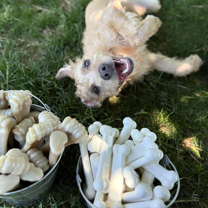 Original Bone Toy, Durable for Chewers, 2 Delicious different flavors your Dogs will love