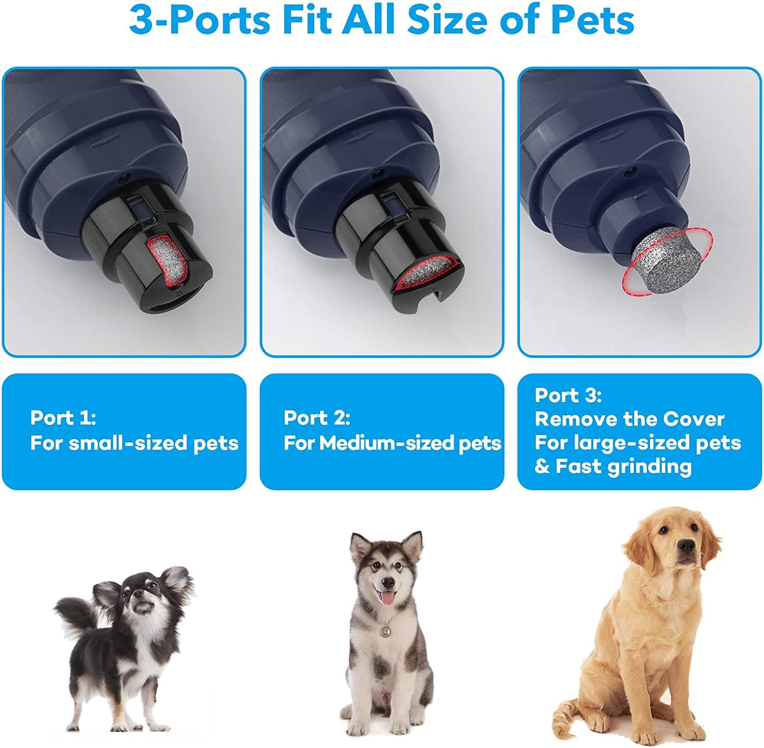 **Professional e-commerce title:**  **2-Speed Electric Dog Nail Grinder with Dual LED Lights – Quiet, Powerful Pet Nail Trimmer for Safe, Painless Grooming of Small, Medium & Large Dogs and Cats 